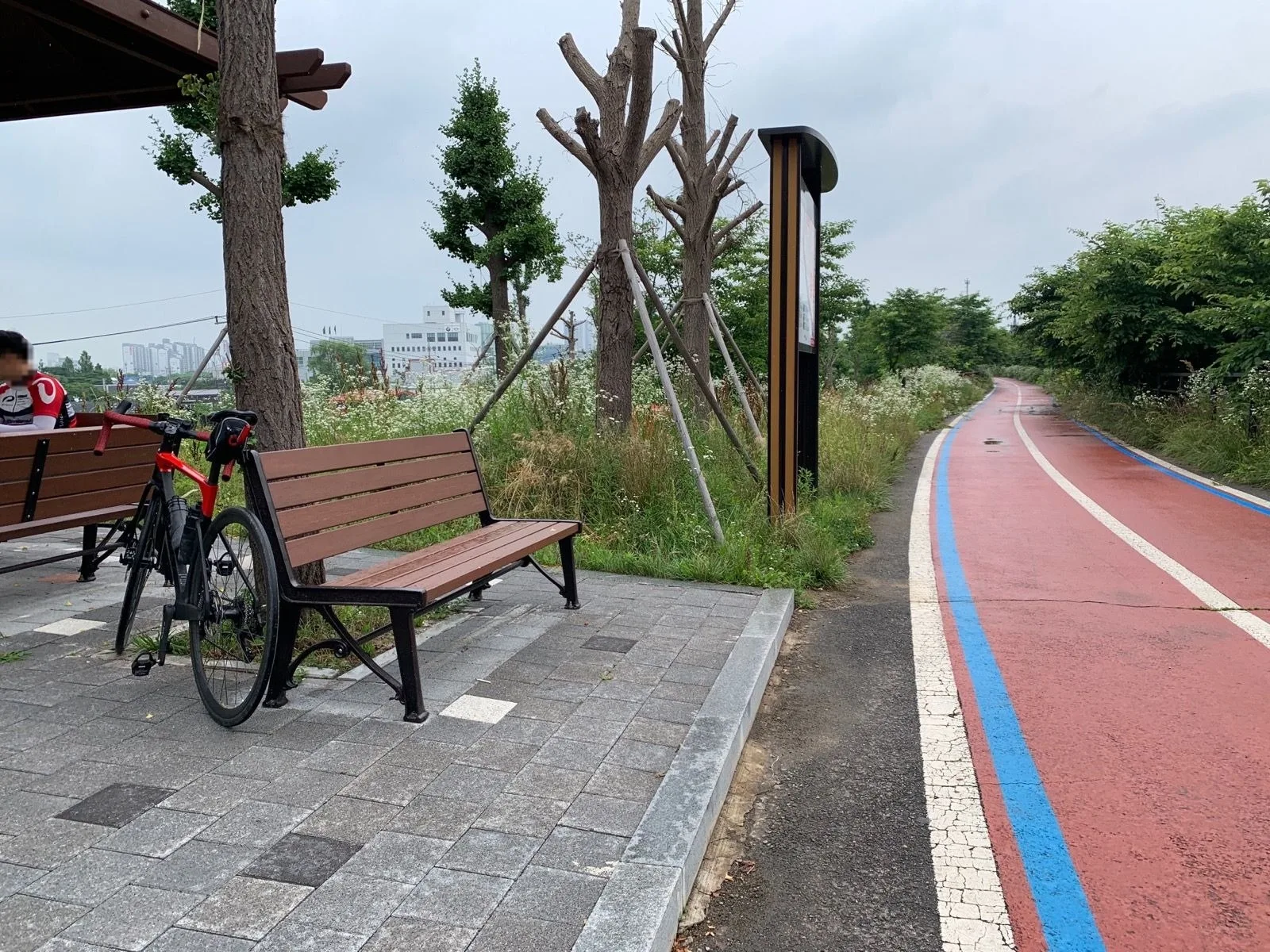 [솔라] 랜도링 연습 200k 파주-남양주