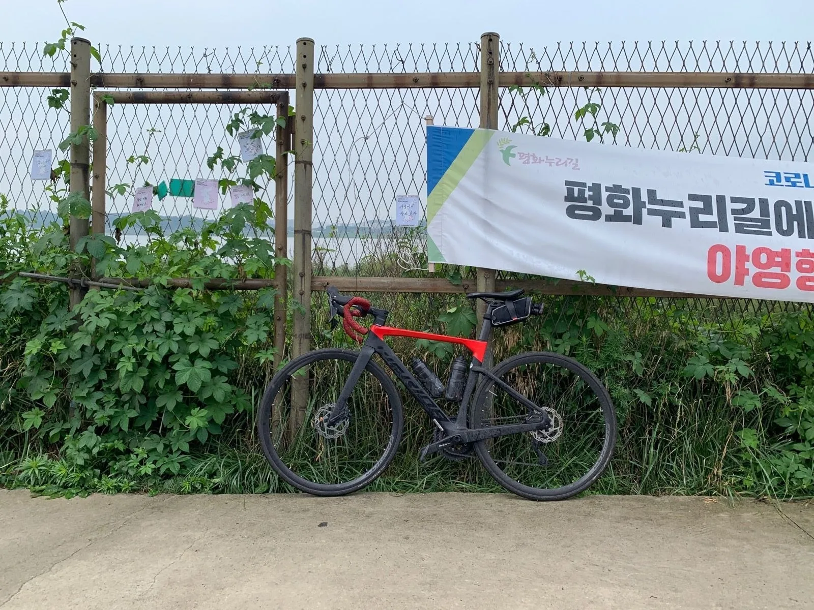 [솔라] 랜도링 연습 200k 파주-남양주