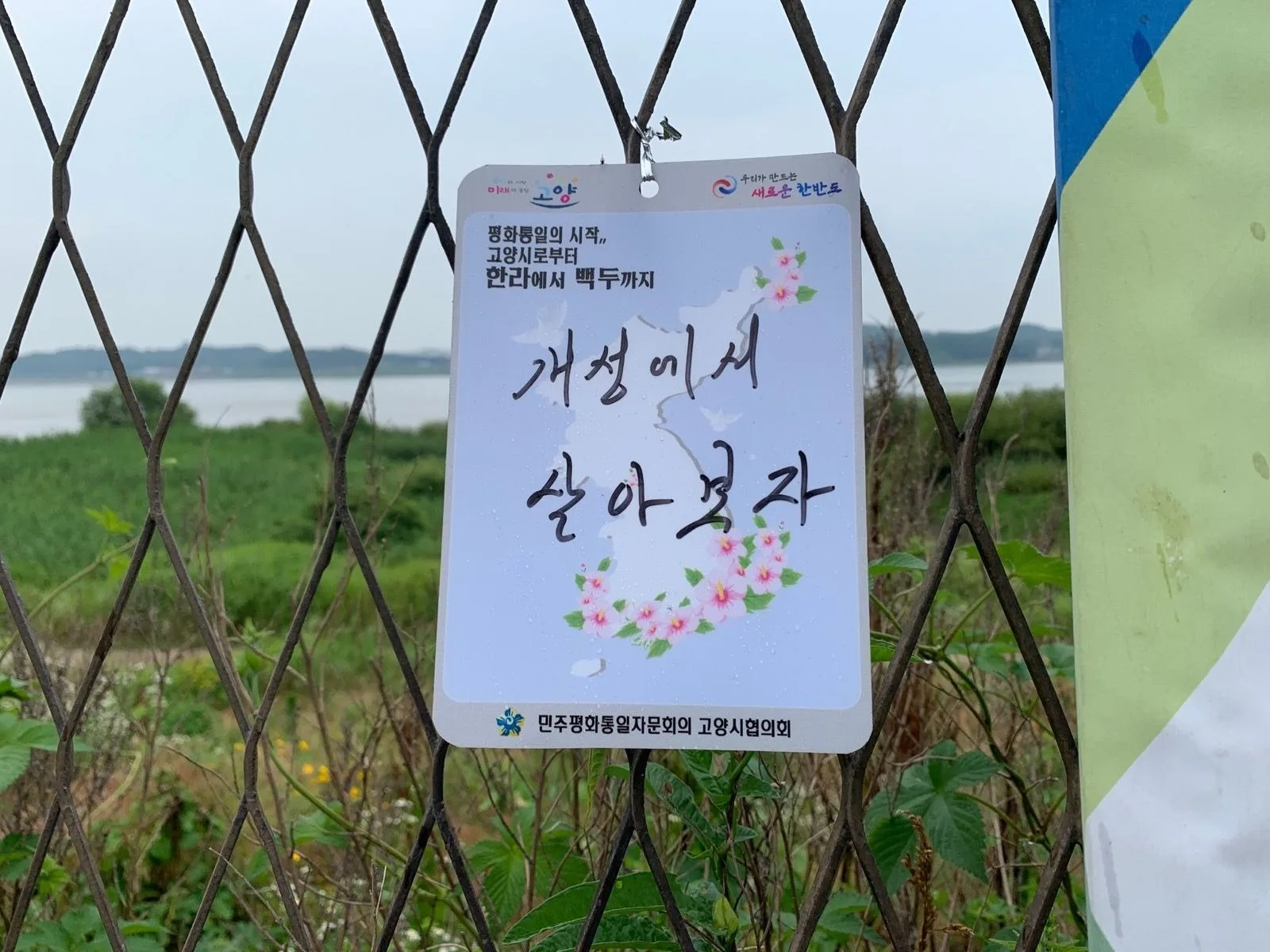 [솔라] 랜도링 연습 200k 파주-남양주