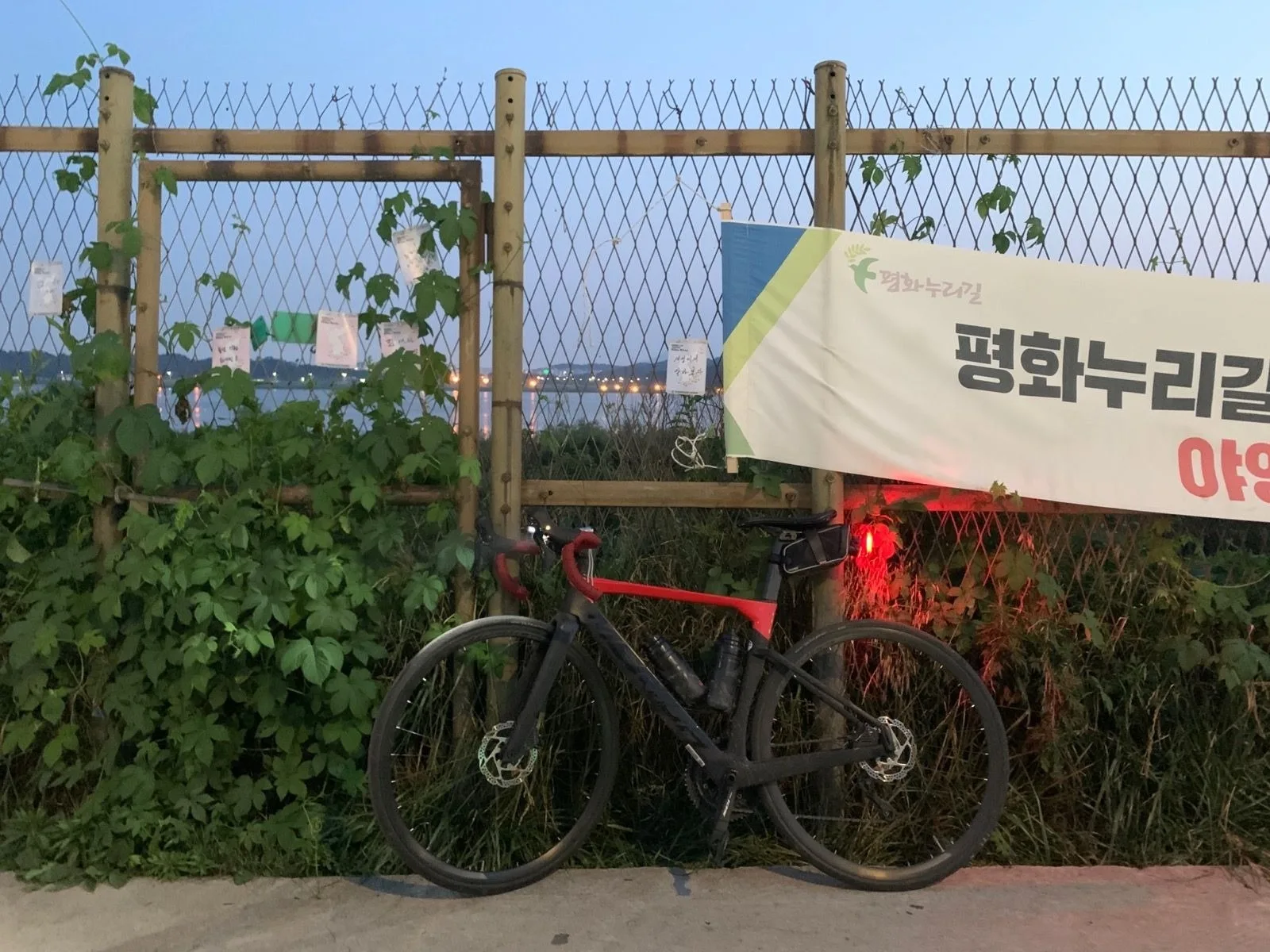 [솔라] 랜도링 연습 200k 파주-남양주